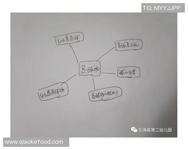 深度对话杨娜分享她的足球人生与成长历程的精彩故事