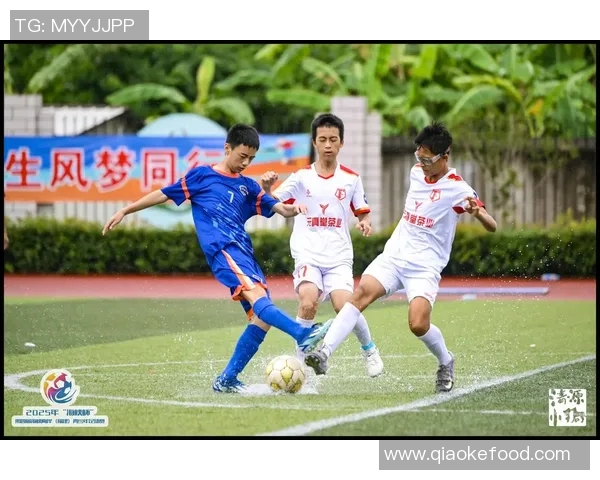 南通足球e：助力地方足球发展，打造青春梦想的竞技舞台