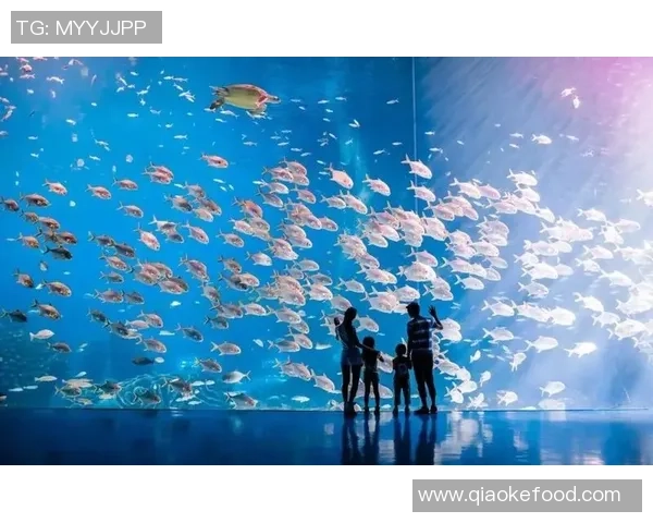 水族足球：探索水下世界的奇妙运动与生态保护结合之旅