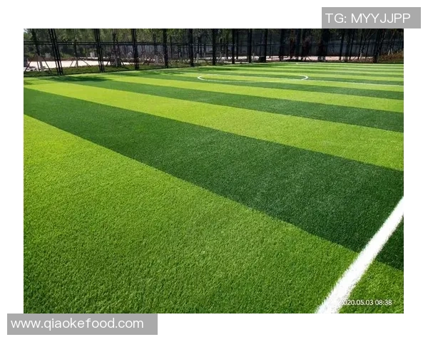 足球场保养的全面指南如何保持草坪健康与比赛质量提升