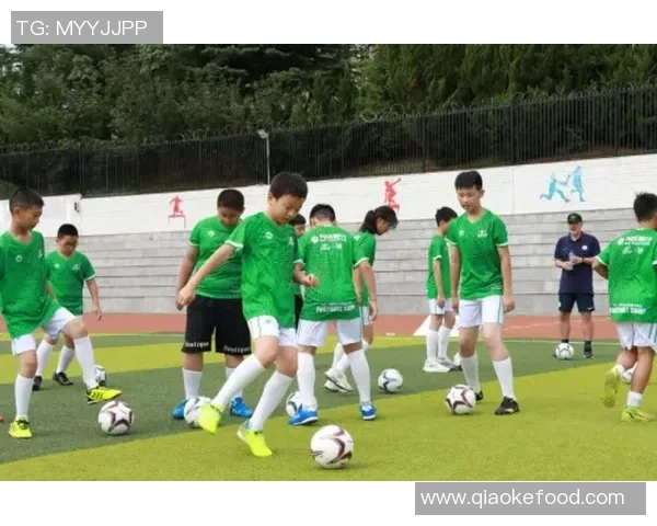 足球凤凰展翅高飞助力青少年成长与梦想实现的精彩旅程